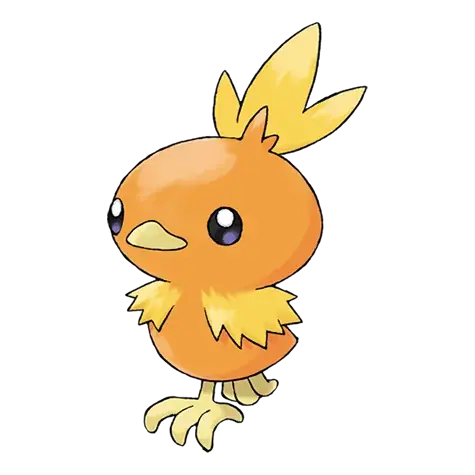 Torchic