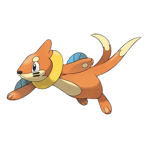 Buizel