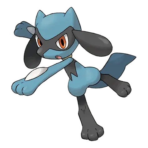 Riolu